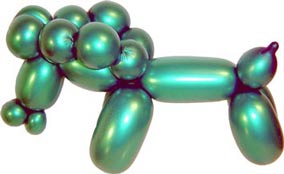 Hevonen / Häst / Horse