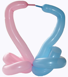 Kuhertelevat joutsenet / Två svanar / Two Swans