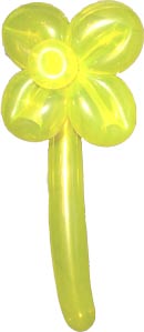 Auringonkukka / Solros / Sunflower