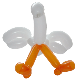 Lintu - kahlaaja / Fågel – vadare / Bird - wader