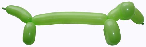 Mäyräkoira / Tax / Dachshund