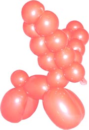 Poro - upeat sarvet! / Ren – med stiliga horn / Reindeer - with nice antlers